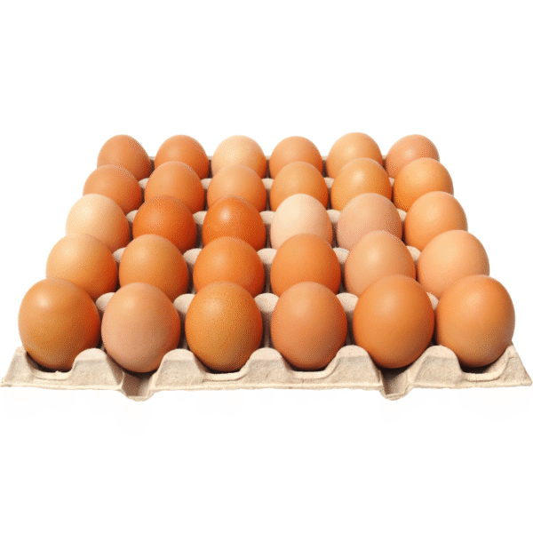 Farm Fresh Eggs